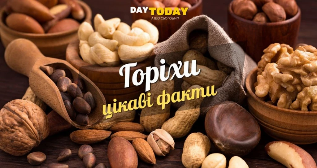 Цікаві факти про горіхи Цікаві факти про горіхи